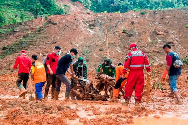 Death toll from Indonesia's landslides rises to 44 hinh anh 1