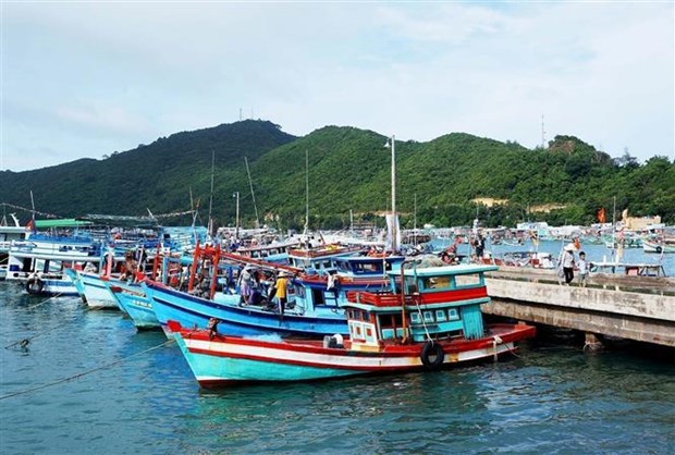Phu Quoc ramps up efforts against IUU fishing hinh anh 1