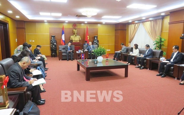 Vietnam shares experience in solving economic difficulties with Laos hinh anh 2