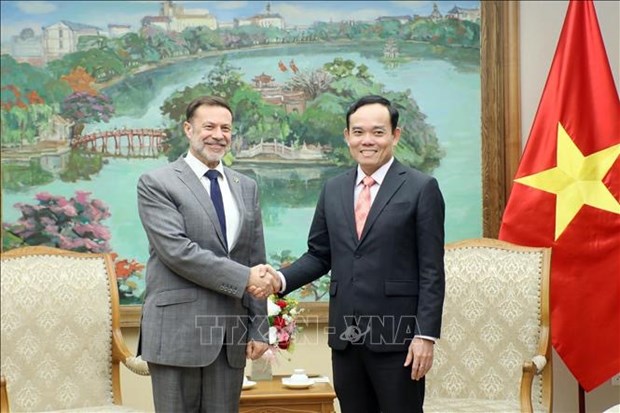 Deputy PM asks for good organisation of celebrations for Vietnam-Australia diplomatic ties hinh anh 2