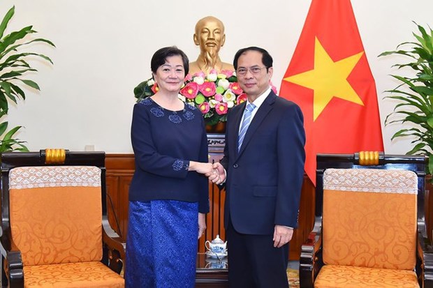 Foreign Minister hosts new Cambodian Ambassador hinh anh 1
