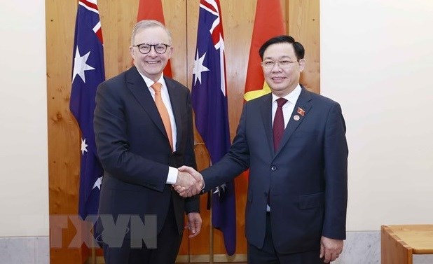 Vietnam, Australia enjoy fruitful strategic partnership: expert hinh anh 1