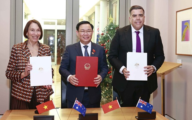 Considerable strides recorded in Vietnam-Australia ties: ambassador hinh anh 1