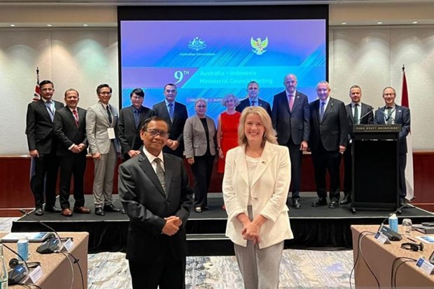 Indonesia, Australia cooperate to combat misinformation, disinformation hinh anh 1