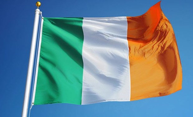 Congratulations offered to Irish leaders over Ireland’s Saint Patrick's Day hinh anh 1