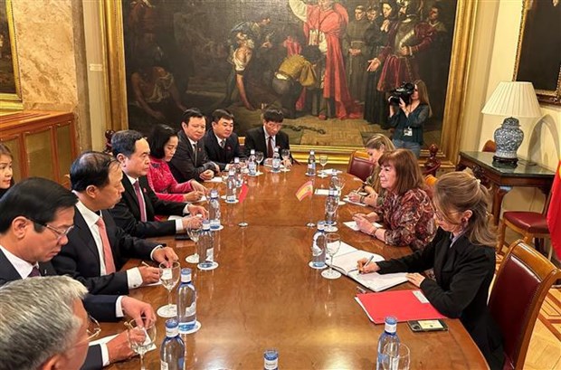 NA Vice Chairman holds talks with leaders of Spanish parliament hinh anh 1