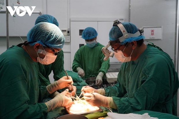 Number of organ donors highest in Cho Ray Hospital hinh anh 1