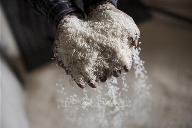 Indonesia may import another 500,000 tonnes of rice in 2023 hinh anh 1