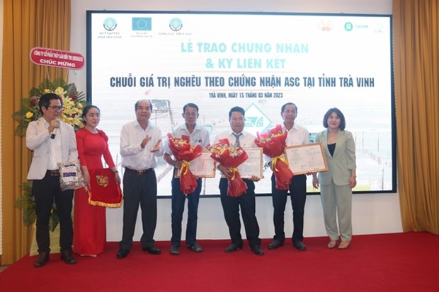 Tra Vinh clam breeding cooperatives receive ASC certificate hinh anh 1