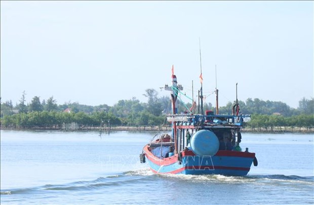 Quang Tri fights illegal fishing for sustainable fisheries development hinh anh 1