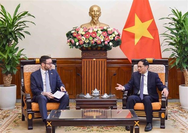 Vietnamese FM suggests expanding cooperation in areas of UK’s strength hinh anh 1