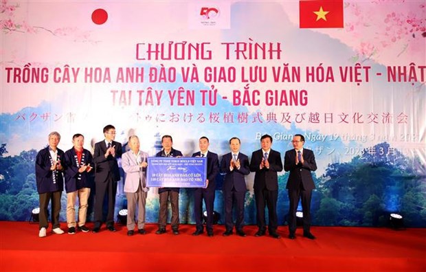 Vietnam-Japan cultural exchange event organised in Bac Giang hinh anh 1