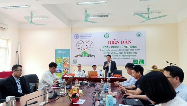Forum marks International Day of Forests hinh anh 2