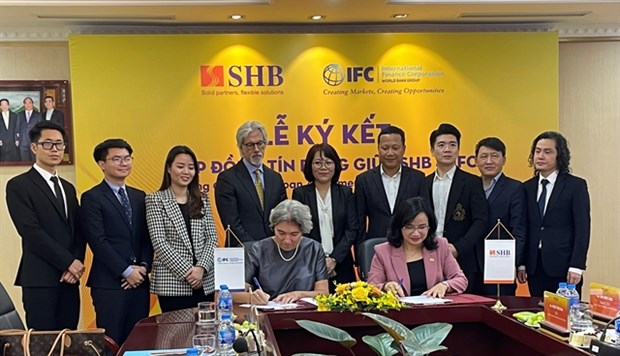 IFC helps boost lending for Vietnam’s smaller businesses hinh anh 1