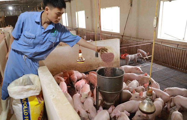 Measures sought to promote circular economy in livestock industry hinh anh 1