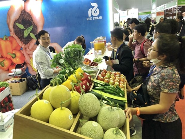Middle East, North Africa lucrative markets for fruit, vegetable exports hinh anh 1
