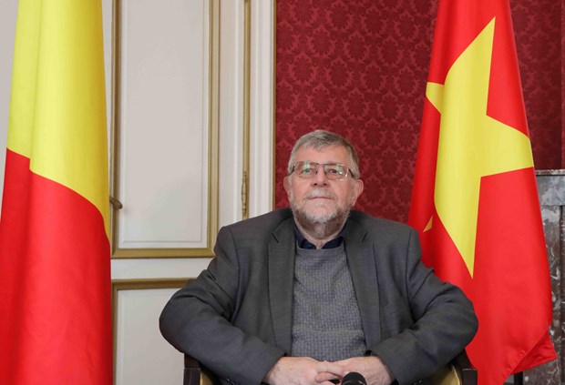 Vietnam - Belgium ties turn into effective economic partnership: Friendship association leader hinh anh 1