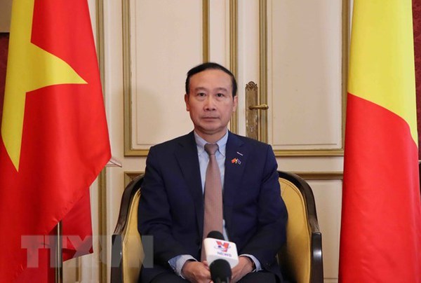 Vietnam, Belgium enjoy fruitful 50-year-ties: Ambassador hinh anh 2