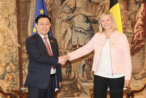 Vietnam, Belgium enjoy fruitful 50-year-ties: Ambassador hinh anh 1