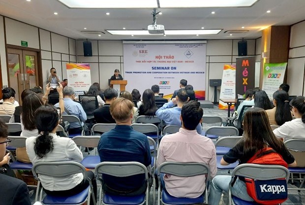 Vietnam, Mexico see ample room for trade cooperation: workshop hinh anh 1