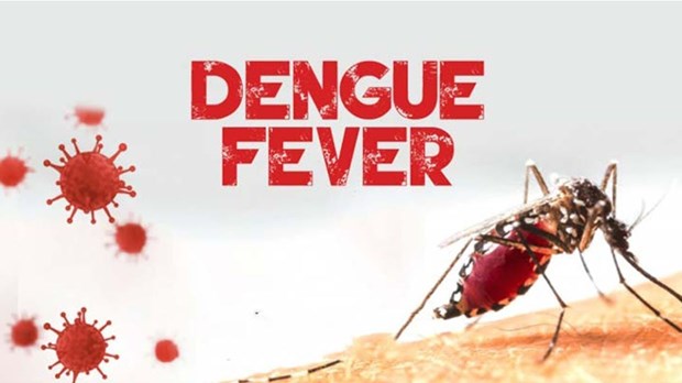 Laos strengthening dengue fever prevention, control hinh anh 1