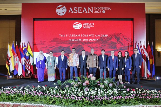ASEAN seeks to reform decision making process hinh anh 1