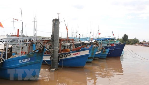 Bac Lieu resolved to combat IUU fishing, sustainably develop fisheries hinh anh 1