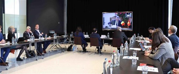 Binh Dinh introduces economic, trade potential to Belgian businesses hinh anh 1