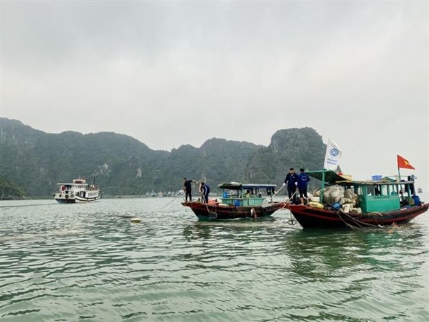 Floating styrofoam buoys in Ha Long Bay collected hinh anh 1