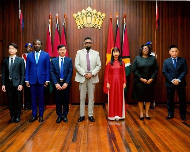Guyana wishes to strengthen ties with Vietnam in various areas hinh anh 1