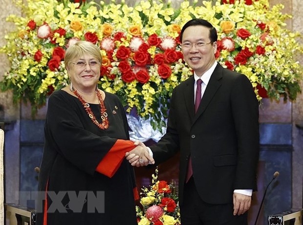 President Vo Van Thuong hosts former Chilean President hinh anh 1