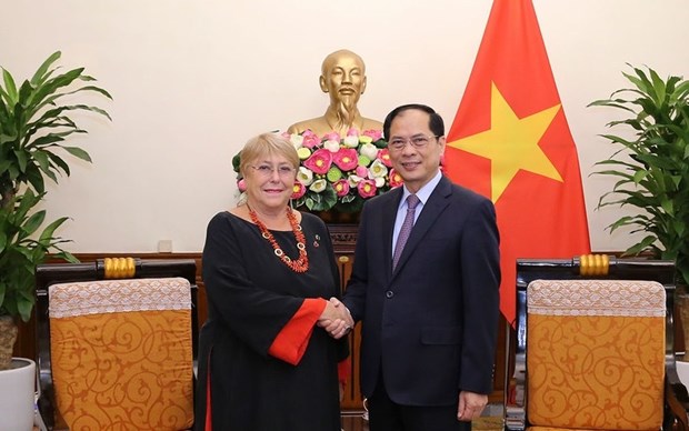 Vietnam always values relations with Chile: FM hinh anh 1