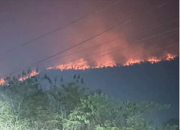 Forest fires, air pollution hit danger level in Laos hinh anh 1