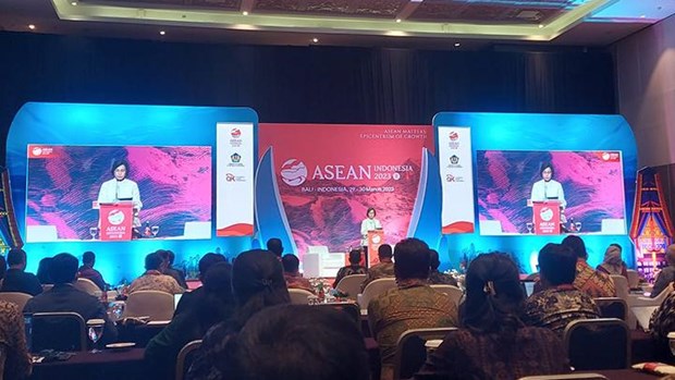 ASEAN faces challenge in financial exclusion: Indonesian minister hinh anh 1