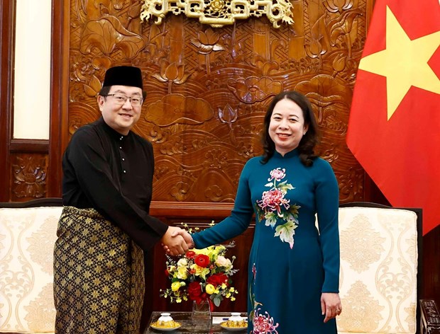 Vietnam one of Malaysia’s closest partners: Ambassador hinh anh 1