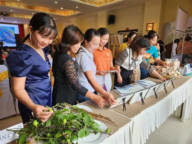 Project proves women’s role in increasing community’s resilience to natural disasters hinh anh 1