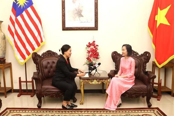 Vietnam-Malaysia ties expand across all pillars over 50 years: Diplomat hinh anh 2