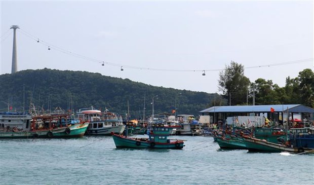 Kien Giang province strictly handles violations of fishing regulations hinh anh 1