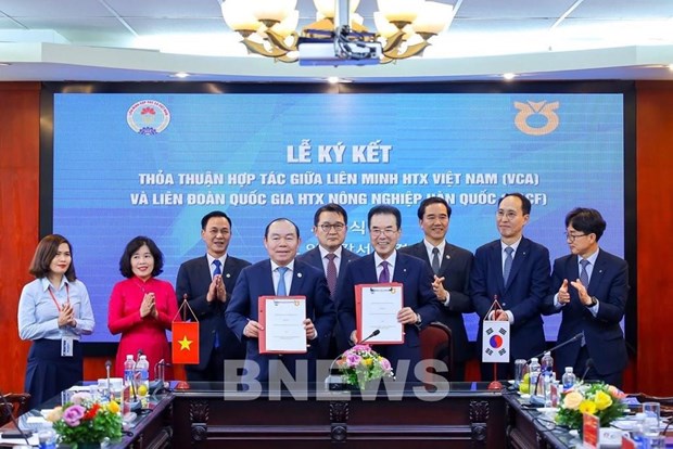 Vietnam, RoK boost cooperation to support cooperative development hinh anh 1