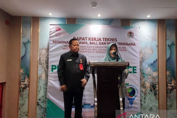 Indonesia asks regional authorities to boost environmental protection hinh anh 1