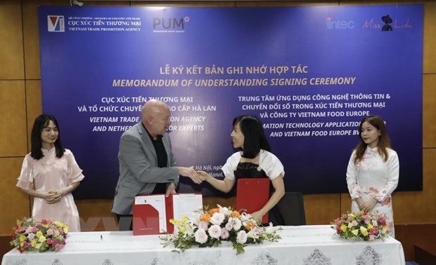 Vietnam, the Netherlands promote exports through digital environment hinh anh 1
