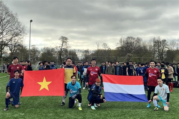 Vietnamese associations in Netherlands organise sports activities hinh anh 1