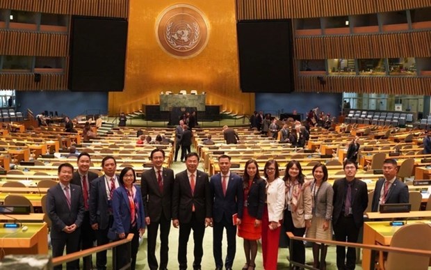 📝 OP-ED: Vietnam makes substantive, responsible contributions to UN Human Rights Council hinh anh 3
