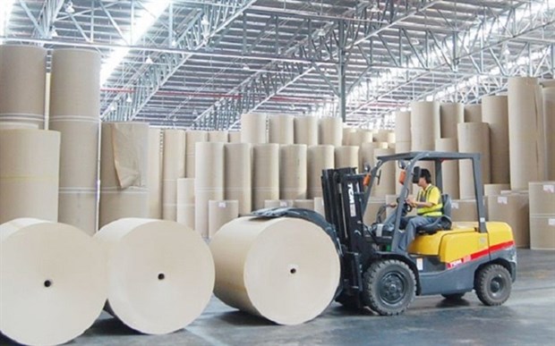 Paper industry needs to switch to production of high-quality packaging: association hinh anh 1