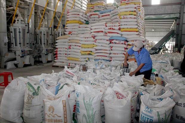 Vietnam exports 1.7 million tonnes of rice in Q1 hinh anh 2
