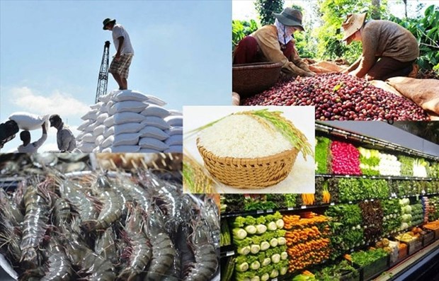 Vietnam eyes 30 billion USD in food, food stuff exports annually hinh anh 2
