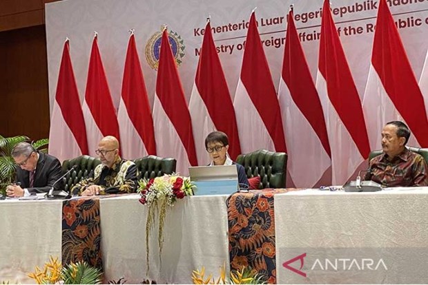 ASEAN expects more states to sign SEANWFZ Treaty hinh anh 1