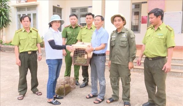 Binh Phuoc: rare otters handed over to rescue centre hinh anh 1