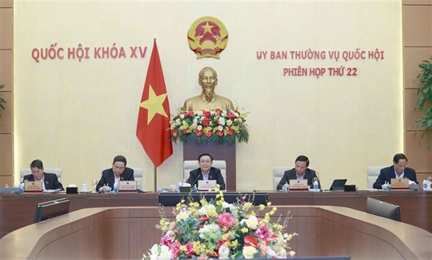 About 10 billion USD mobilised for COVID-19 combat: report hinh anh 1