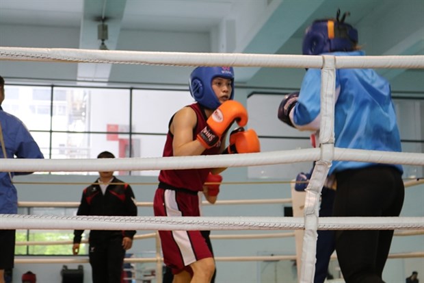 Vietnamese boxers gearing up for SEA Games 32 hinh anh 1